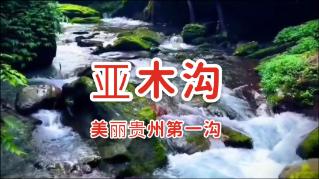 史小坑的爆笑生活11